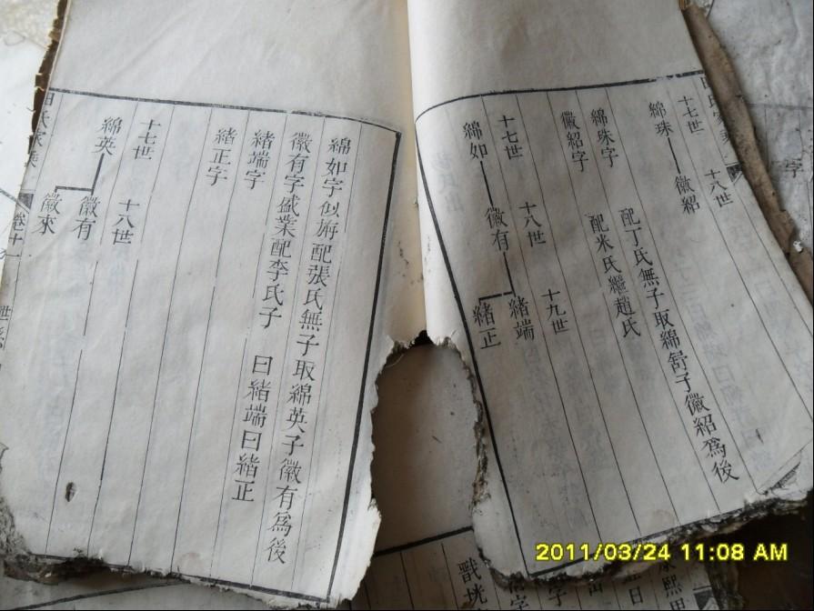 dvubb 图片点击可在新窗口打开查看