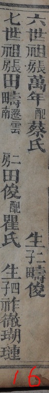 dvubb 图片点击可在新窗口打开查看